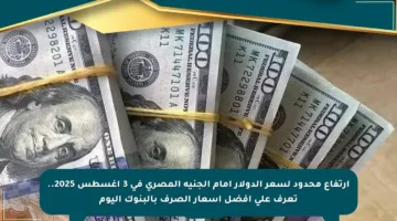 ارتفاع محدود لسعر الدولار أمام الجنيه المصري في 3 أغسطس 2025.. تعرف على أفضل أسعار الصرف بالبنوك اليوم